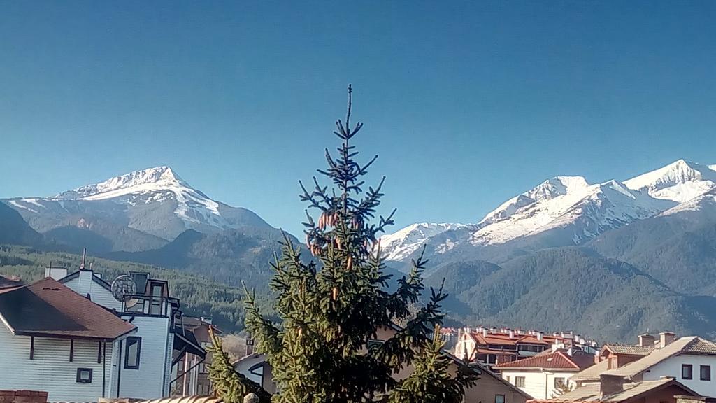 Guest House Planinski Zdravets Bansko Exterior photo